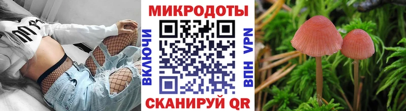 Купить где  Пионерский  Галлюциногенные грибы ЛСД 